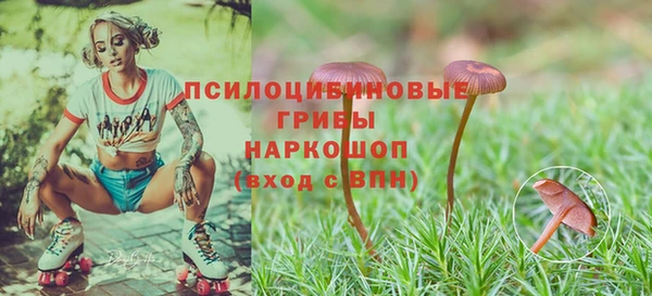 скорость mdpv Козловка