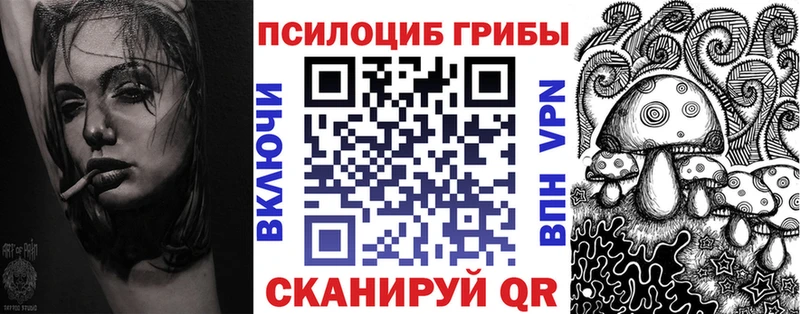 Псилоцибиновые грибы GOLDEN TEACHER  Купить где  Россошь 